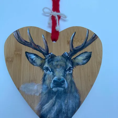 Casa Isotta Appartement